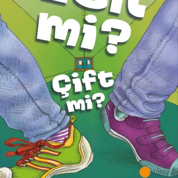 Cover of Lost and Found in Turkey