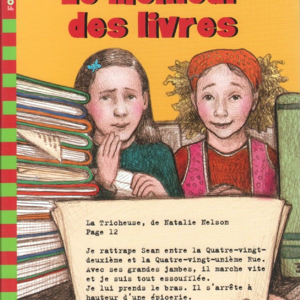 Cover of The School Story in France