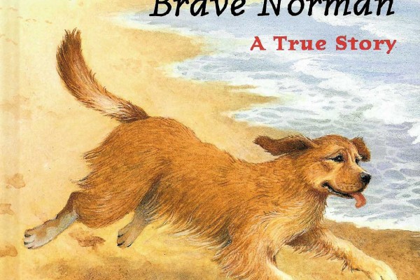 Cover of Brave Norman: A True Story