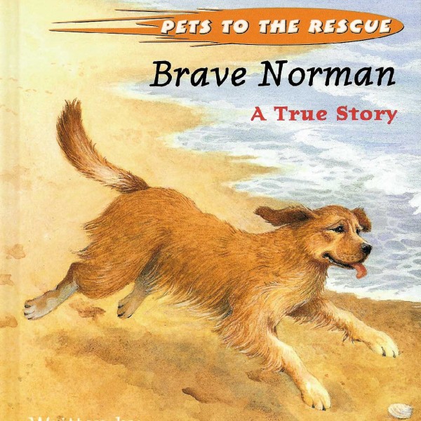 Cover of Brave Norman: A True Story