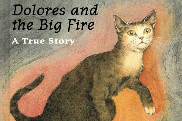 Cover of Dolores and the Big Fire