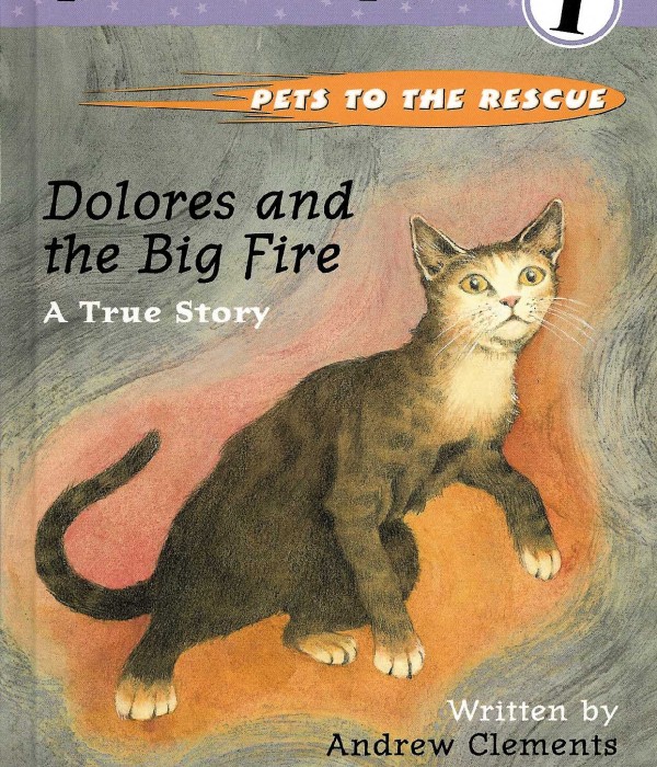 Cover of 