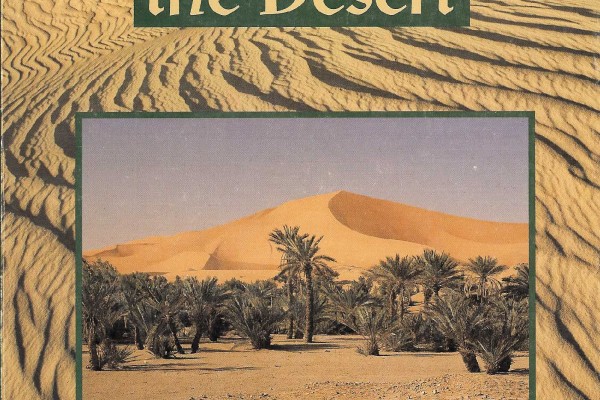 Cover of Life in the Desert