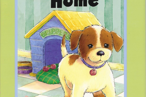 Cover of Slippers at Home