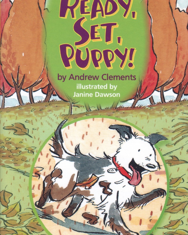 Cover of Ready, Set, Puppy!