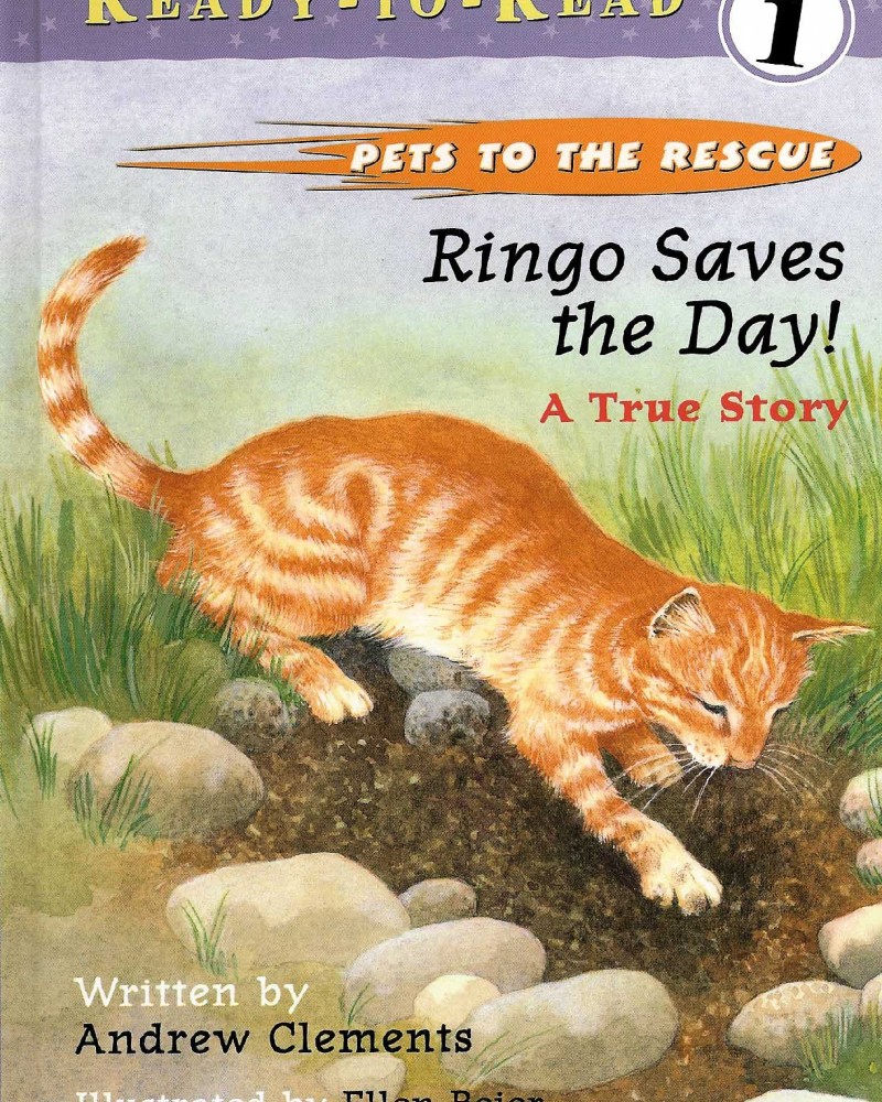 Cover of Ringo Saves the Day!