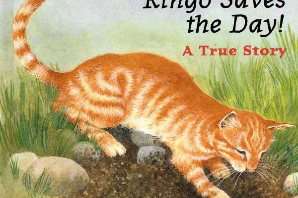 Cover of Ringo Saves the Day!